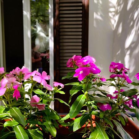 Apartmán Domus Vetriera Palermo Exteriér fotografie