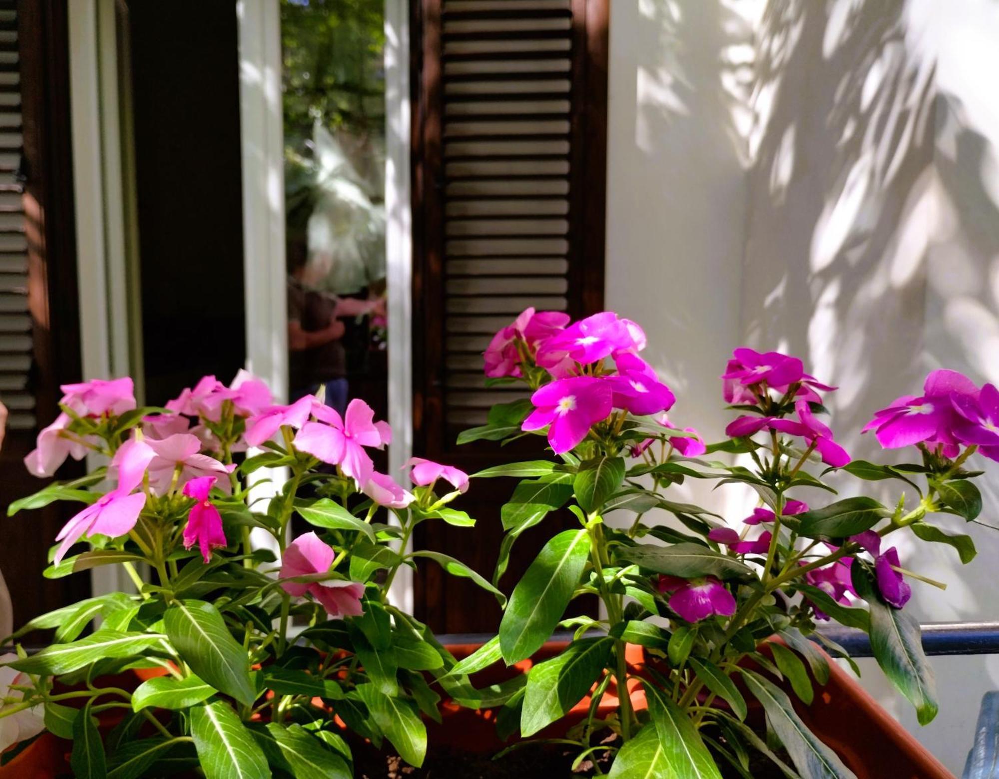 Apartmán Domus Vetriera Palermo Exteriér fotografie